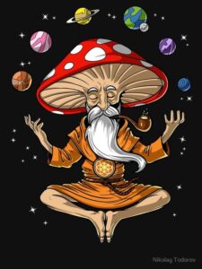 Psychedelics and their de-marketing